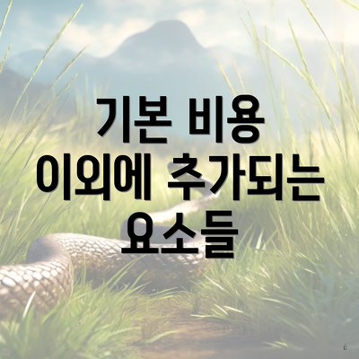 기본 비용 이외에 추가되는 요소들