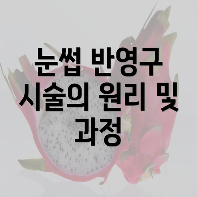 눈썹 반영구 시술의 원리 및 과정