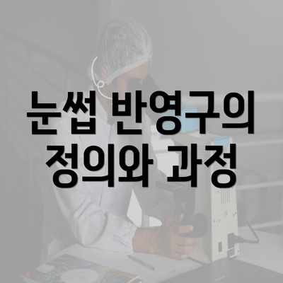 눈썹 반영구의 정의와 과정