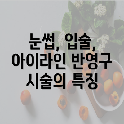 눈썹, 입술, 아이라인 반영구 시술의 특징