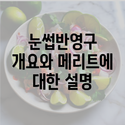 눈썹반영구 개요와 메리트에 대한 설명