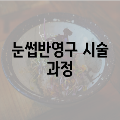 눈썹반영구 시술 과정