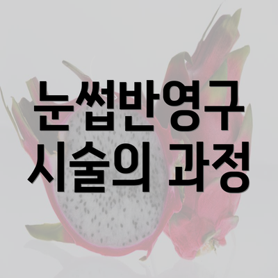 눈썹반영구 시술의 과정