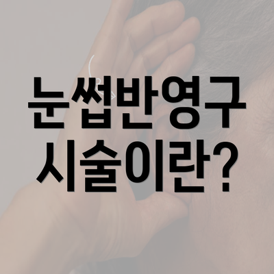 눈썹반영구 시술이란?