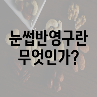 눈썹반영구란 무엇인가?