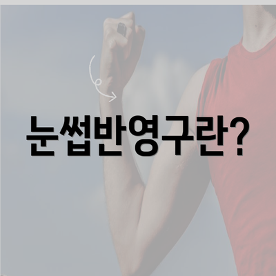 눈썹반영구란?