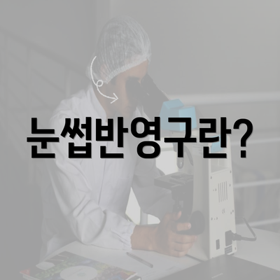 눈썹반영구란?