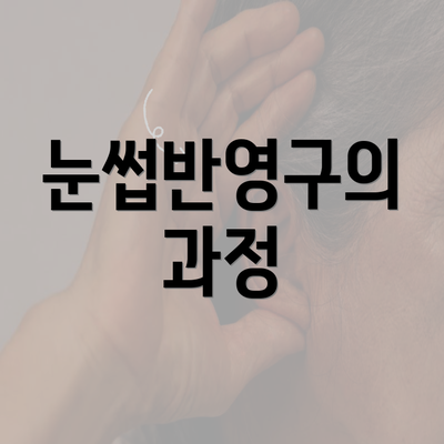 눈썹반영구의 과정