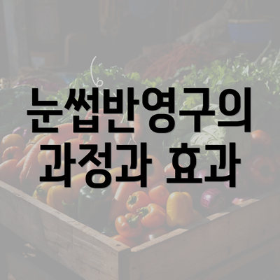 눈썹반영구의 과정과 효과