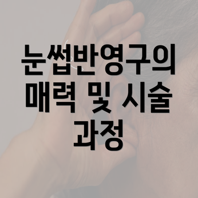 눈썹반영구의 매력 및 시술 과정