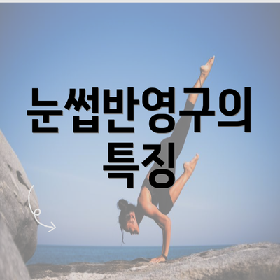 눈썹반영구의 특징