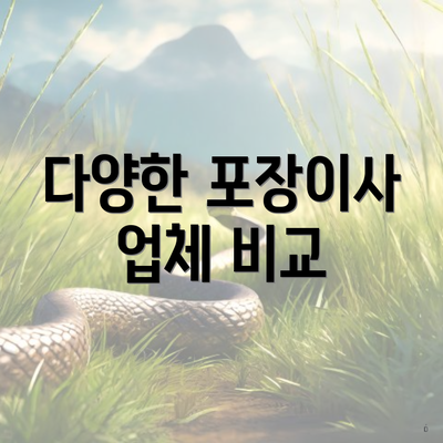 다양한 포장이사 업체 비교