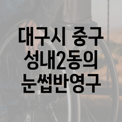 대구시 중구 성내2동의 눈썹반영구