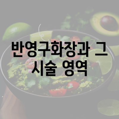 반영구화장과 그 시술 영역