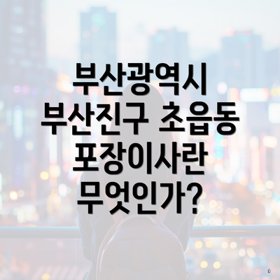 부산광역시 부산진구 초읍동 포장이사란 무엇인가?