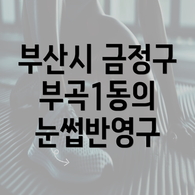 부산시 금정구 부곡1동의 눈썹반영구