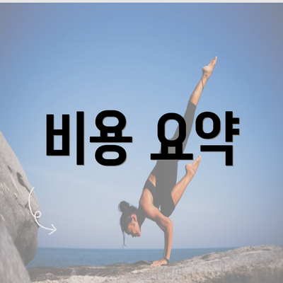 비용 요약