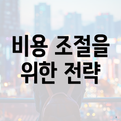 비용 조절을 위한 전략