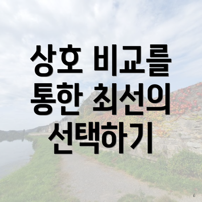 상호 비교를 통한 최선의 선택하기