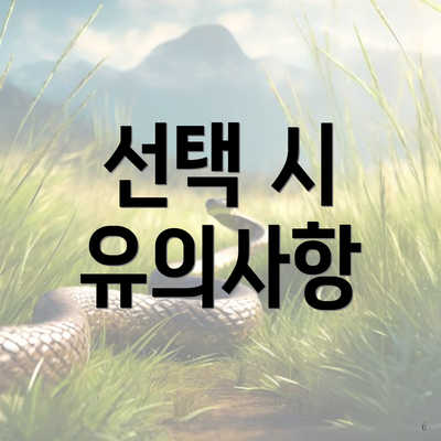 선택 시 유의사항