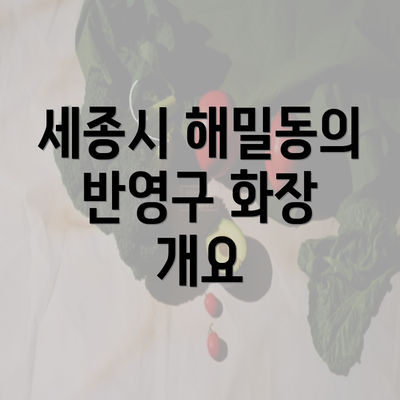 세종시 해밀동의 반영구 화장 개요