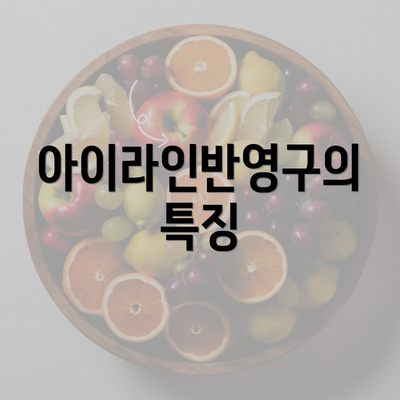 아이라인반영구의 특징