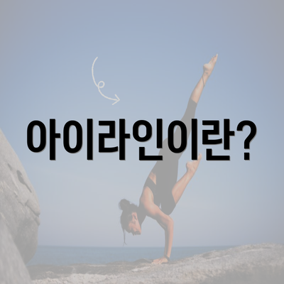 아이라인이란?