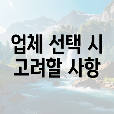 업체 선택 시 고려할 사항