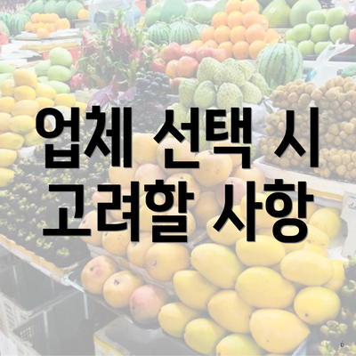 업체 선택 시 고려할 사항