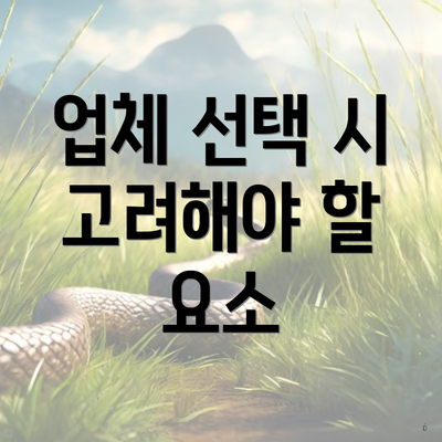 업체 선택 시 고려해야 할 요소