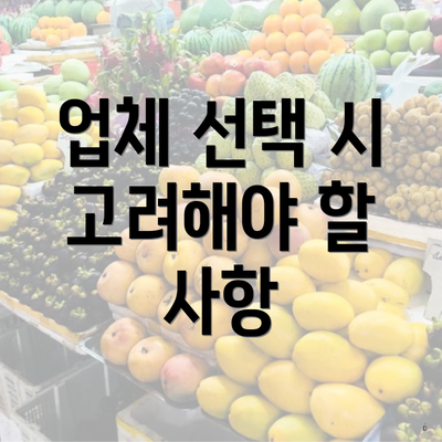 업체 선택 시 고려해야 할 사항