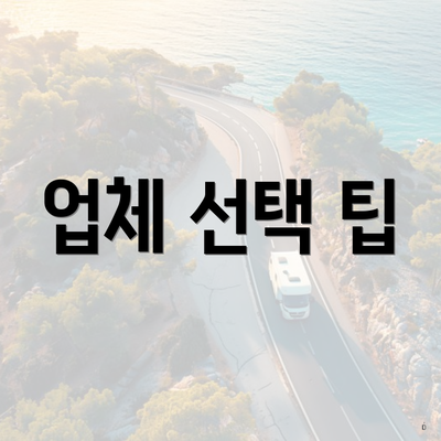 업체 선택 팁