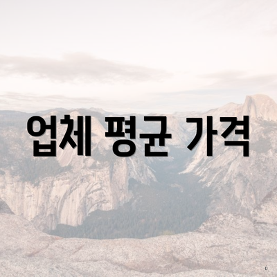 업체 평균 가격