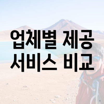 업체별 제공 서비스 비교