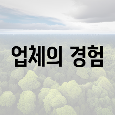 업체의 경험