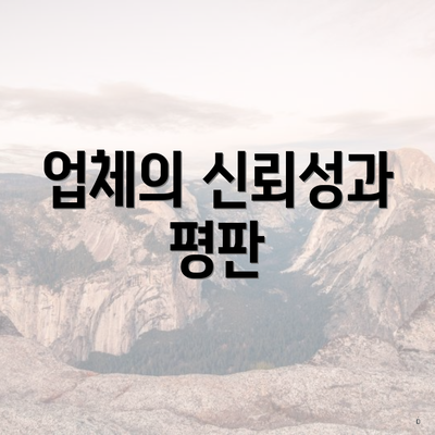 업체의 신뢰성과 평판