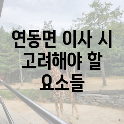 연동면 이사 시 고려해야 할 요소들