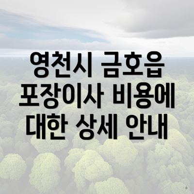 영천시 금호읍 포장이사 비용에 대한 상세 안내