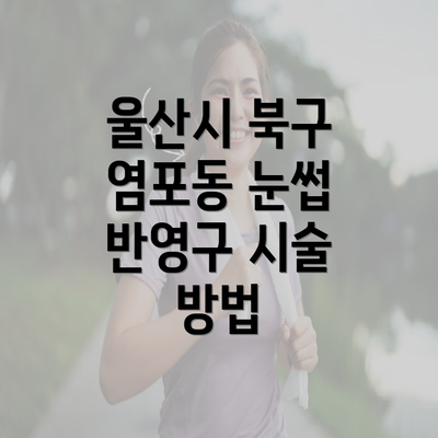 울산시 북구 염포동 눈썹 반영구 시술 방법