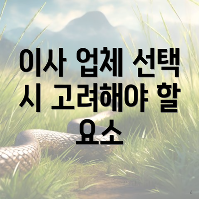 이사 업체 선택 시 고려해야 할 요소