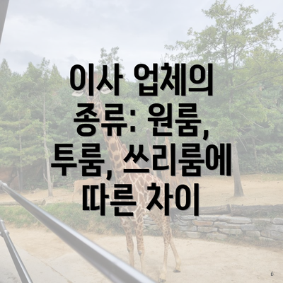 이사 업체의 종류: 원룸, 투룸, 쓰리룸에 따른 차이