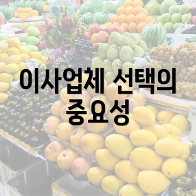 이사업체 선택의 중요성