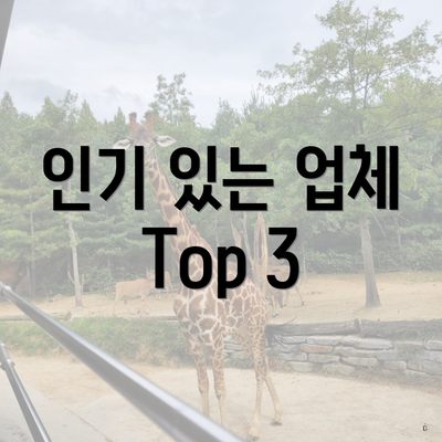 인기 있는 업체 Top 3