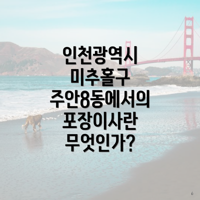 인천광역시 미추홀구 주안8동에서의 포장이사란 무엇인가?