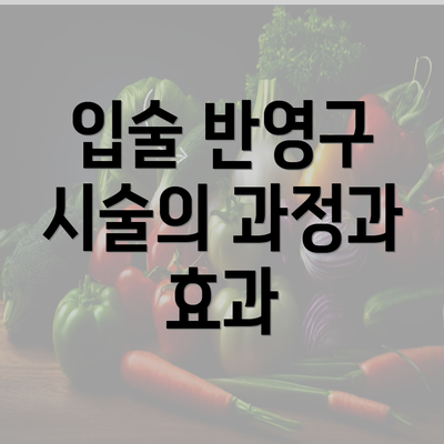 입술 반영구 시술의 과정과 효과