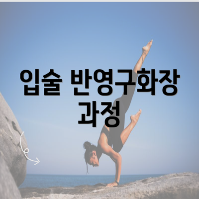 입술 반영구화장 과정