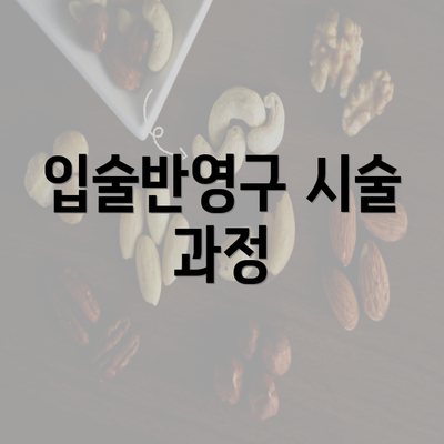 입술반영구 시술 과정