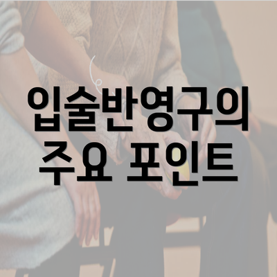 입술반영구의 주요 포인트