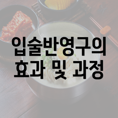 입술반영구의 효과 및 과정