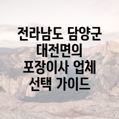 전라남도 담양군 대전면의 포장이사 업체 선택 가이드